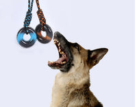 HKM-1245245 Durable TPR Chew Toy with Thorn Grinding Teeth and Colorful Knot Rope, 48*12.5cm