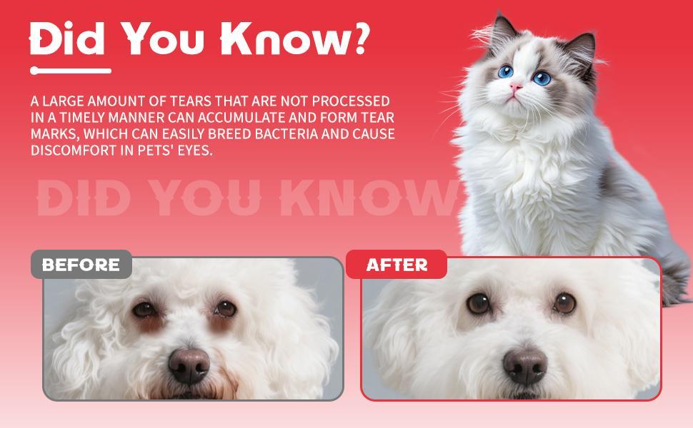 HKM-1248061 Pet Tear Stain Removal Powder for Gentle Eye and Fur Care, Natural Formula for Brightening and Cleaning