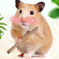HKM-1248829 Natural Wood Hamster Chewing Toy - Teeth Cleansing Branch Snacks 50G
