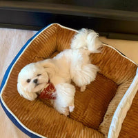 HKM-1250237 Boat-shaped Four-season Pet Nest Dog Bed with Soft Corduroy and PP Cotton Lining, Coffee Color Options