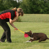 HKM-1251005 Durable Interactive Dog Biting Pillow with Comfortable Rope Handle for Training