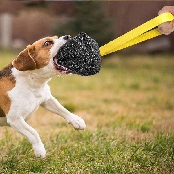 HKM-1251005 Durable Interactive Dog Biting Pillow with Comfortable Rope Handle for Training