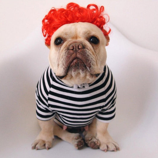 HKM-1252029 Pet Funny Wig Headgear in Black Explosive, Red Explosive, and Ruth Braid Styles