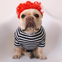 HKM-1252029 Pet Funny Wig Headgear in Black Explosive, Red Explosive, and Ruth Braid Styles