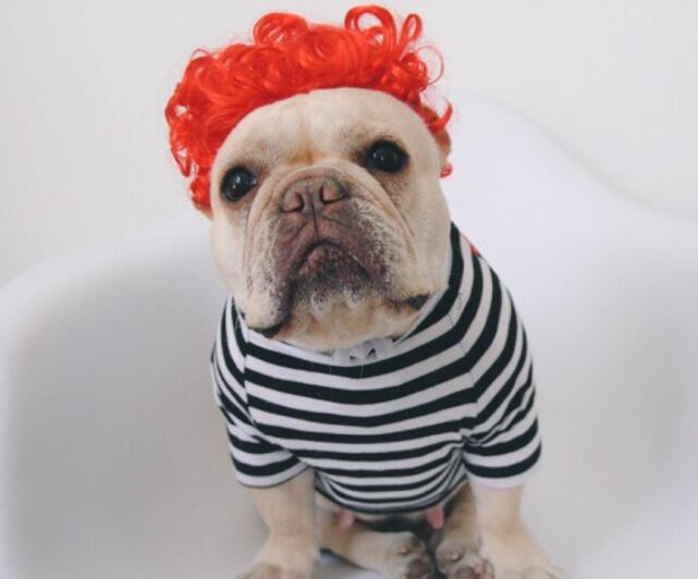 HKM-1252029 Pet Funny Wig Headgear in Black Explosive, Red Explosive, and Ruth Braid Styles