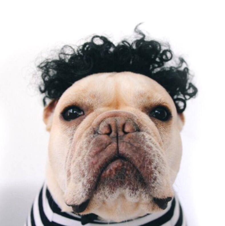 HKM-1252029 Pet Funny Wig Headgear in Black Explosive, Red Explosive, and Ruth Braid Styles
