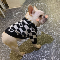 HKM-1253949 Schnauzer Kitten Winter Sweater in Fashionable Black Wool with Grid Design