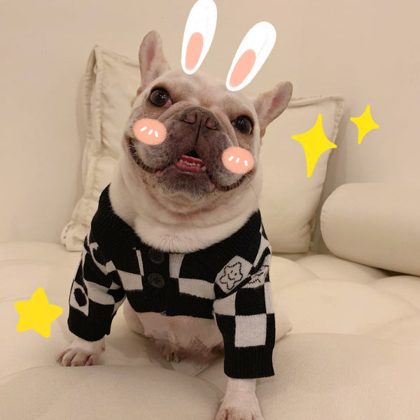HKM-1253949 Schnauzer Kitten Winter Sweater in Fashionable Black Wool with Grid Design