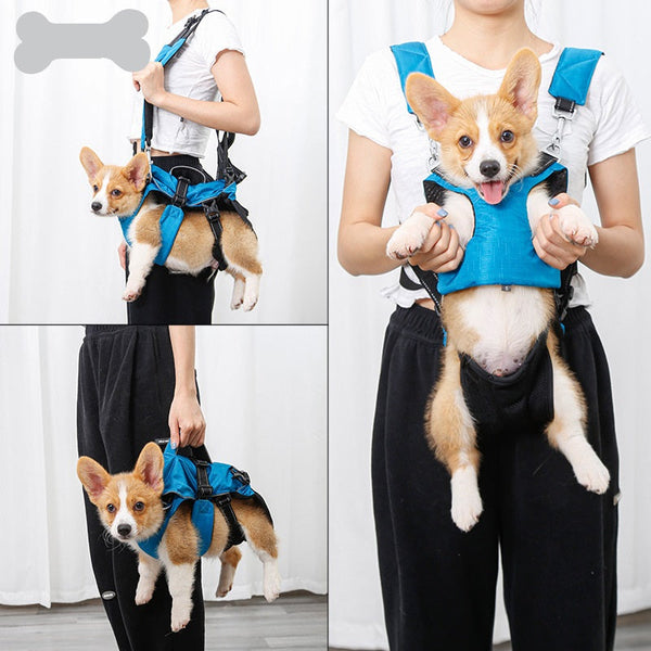 HKM-1255229 3-in-1 Multifunctional Pet Backpack and Chest Cover - Comfortable, Breathable Polyester - Blue and Grey Options - Sizes S & M Available