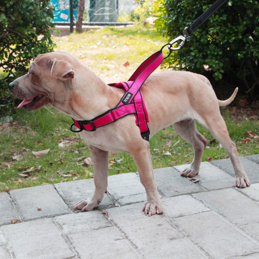 HKM-1255741 Adjustable Dog Harness and Leash Set for Outdoor Walking - Durable Chest and Back Traction Rope