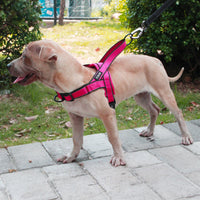 HKM-1255741 Adjustable Dog Harness and Leash Set for Outdoor Walking - Durable Chest and Back Traction Rope