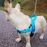 HKM-1255741 Adjustable Dog Harness and Leash Set for Outdoor Walking - Durable Chest and Back Traction Rope