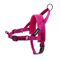 HKM-1255741 Adjustable Dog Harness and Leash Set for Outdoor Walking - Durable Chest and Back Traction Rope