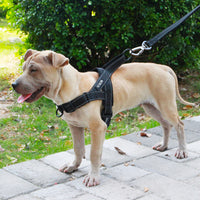 HKM-1255741 Adjustable Dog Harness and Leash Set for Outdoor Walking - Durable Chest and Back Traction Rope
