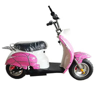 HKM-125843 Electric Mini Off-Road Motorcycle for Kids - 250W, 2 Wheels, 15km/h, Various Colors