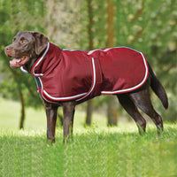 HKM-1260093 Waterproof Casual Jacket for Pets - Autumn and Winter Warmth in Red and Gray