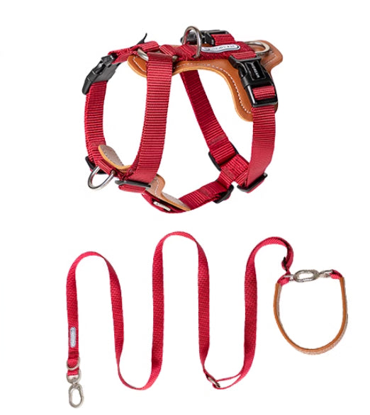 HKM-1263165 Multifunctional Double Pull Dog Leash and Chest Strap Set - Nylon and PVC Leather, 0-40kg Pets