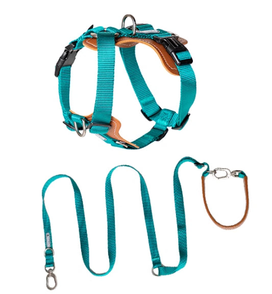 HKM-1263165 Multifunctional Double Pull Dog Leash and Chest Strap Set - Nylon and PVC Leather, 0-40kg Pets