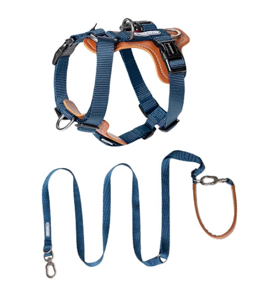 HKM-1263165 Multifunctional Double Pull Dog Leash and Chest Strap Set - Nylon and PVC Leather, 0-40kg Pets
