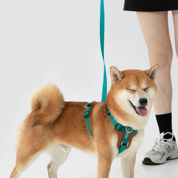 HKM-1263165 Multifunctional Double Pull Dog Leash and Chest Strap Set - Nylon and PVC Leather, 0-40kg Pets