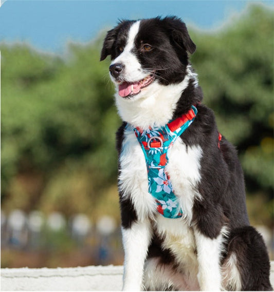 HKM-1266749 Durable Nylon Dog Leash with Aluminum Alloy Chain and Vest Straps