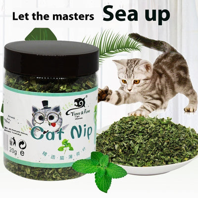 HKM-1273277 Catnip Tea Powder for Cats - 20g Bottle, 280ml Size, 12-Month Shelf Life