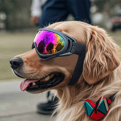 HKM-1274813 Dog Windproof Plastic Sunglasses with Colored Lenses - Casual Style, PVC Material