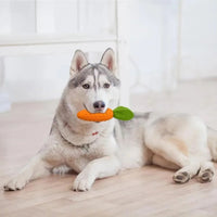 HKM-1275837 Durable Rubber and Plush Carrot Dog Chew Toy for Tooth Health and Playtime Fun