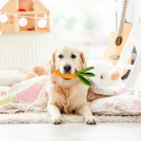 HKM-1275837 Durable Rubber and Plush Carrot Dog Chew Toy for Tooth Health and Playtime Fun