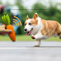 HKM-1275837 Durable Rubber and Plush Carrot Dog Chew Toy for Tooth Health and Playtime Fun