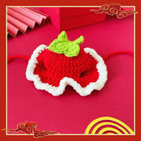 HKM-1292861 Festive Winter Pet Hats for Cats and Dogs ¨C Tiger, Fruit, Frog Designs