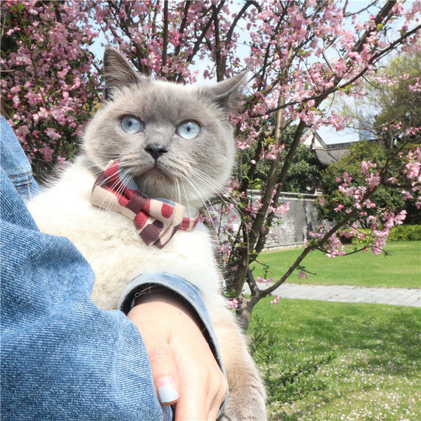 HKM-1297085 Camouflage Bowknot Pet Collar - Blue, Green, Colorful PU Material