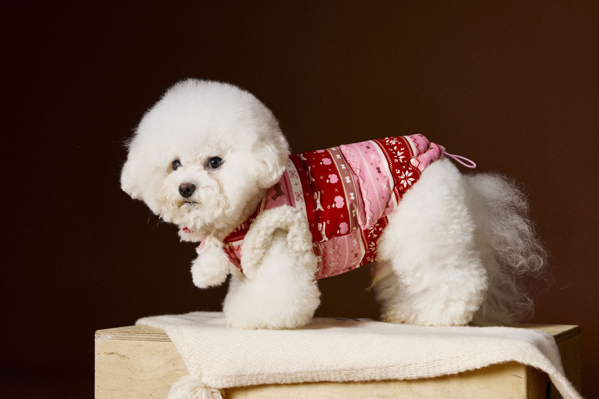 HKM-1299005 Light Pink Bichon Schnauzer Teddy Vest for Pets - Soft 90% Duck Down Insulated Clothing in Multiple Sizes