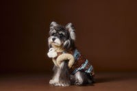 HKM-1299005 Light Pink Bichon Schnauzer Teddy Vest for Pets - Soft 90% Duck Down Insulated Clothing in Multiple Sizes