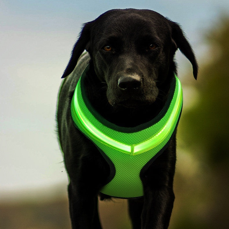 HKM-1299517 USB Rechargeable LED Dog Harness with Reflective Features - Pet Safety Chest Strap for Day and Night Use