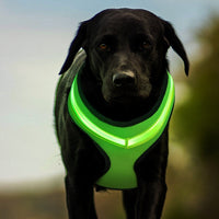 HKM-1299517 USB Rechargeable LED Dog Harness with Reflective Features - Pet Safety Chest Strap for Day and Night Use