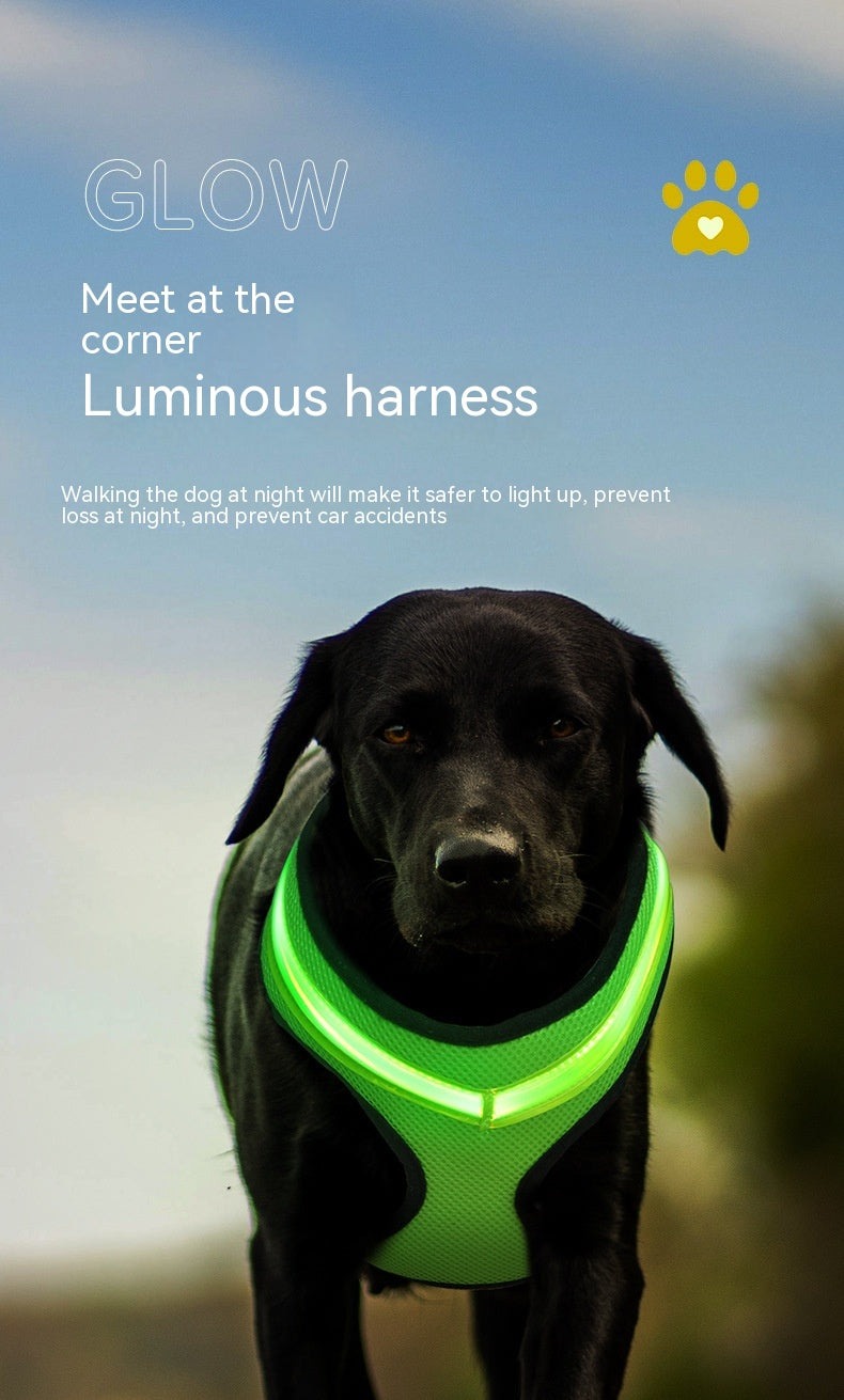 HKM-1299517 USB Rechargeable LED Dog Harness with Reflective Features - Pet Safety Chest Strap for Day and Night Use