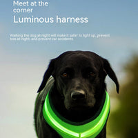 HKM-1299517 USB Rechargeable LED Dog Harness with Reflective Features - Pet Safety Chest Strap for Day and Night Use