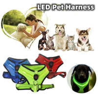 HKM-1299517 USB Rechargeable LED Dog Harness with Reflective Features - Pet Safety Chest Strap for Day and Night Use