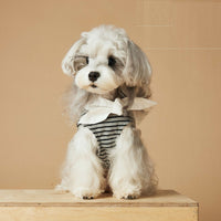 HKM-1305789 Spring and Summer Striped Dress for Dogs, Casual Polyester Pet Clothing in Multiple Sizes