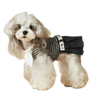 HKM-1305789 Spring and Summer Striped Dress for Dogs, Casual Polyester Pet Clothing in Multiple Sizes