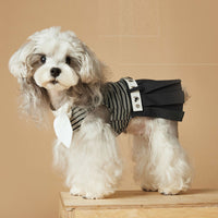 HKM-1305789 Spring and Summer Striped Dress for Dogs, Casual Polyester Pet Clothing in Multiple Sizes
