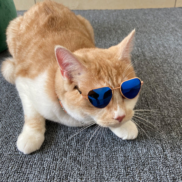 HKM-1307581 Mini Cat Sunglasses in Various Colorful Designs - Ideal for Pet Fashion
