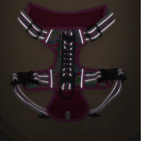 HKM-1309757 Adjustable Dog Leash Chest Harness for Small, Medium, and Large Dogs - Available in Multiple Colors