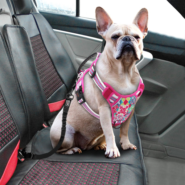 HKM-1309757 Adjustable Dog Leash Chest Harness for Small, Medium, and Large Dogs - Available in Multiple Colors