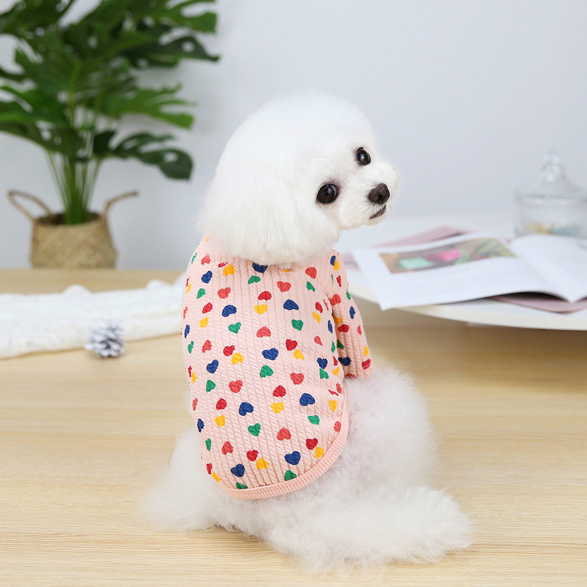 HKM-1312317 Stylish Two-Legged Pet Shirt in White or Pink with Love Design