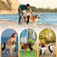 HKM-1313341 Dog Knee Brace with Auxiliary Belt for Joint Support and Protection