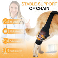 HKM-1313341 Dog Knee Brace with Auxiliary Belt for Joint Support and Protection