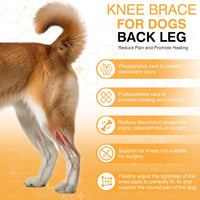 HKM-1313341 Dog Knee Brace with Auxiliary Belt for Joint Support and Protection