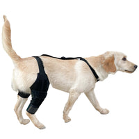 HKM-1313341 Dog Knee Brace with Auxiliary Belt for Joint Support and Protection